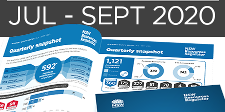 Quarterly Safety Report
