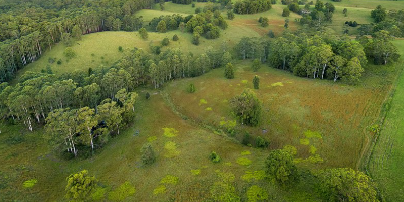 Aerial photograph of green hilly fields with stands of trees.